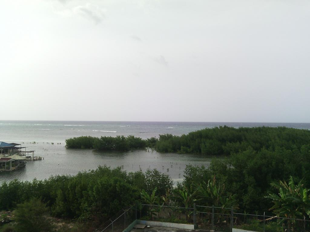 Hotel Tropik Leadonna Montego Bay Dış mekan fotoğraf