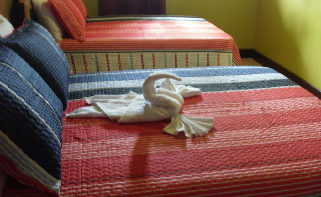 Hotel Tropik Leadonna Montego Bay Oda fotoğraf